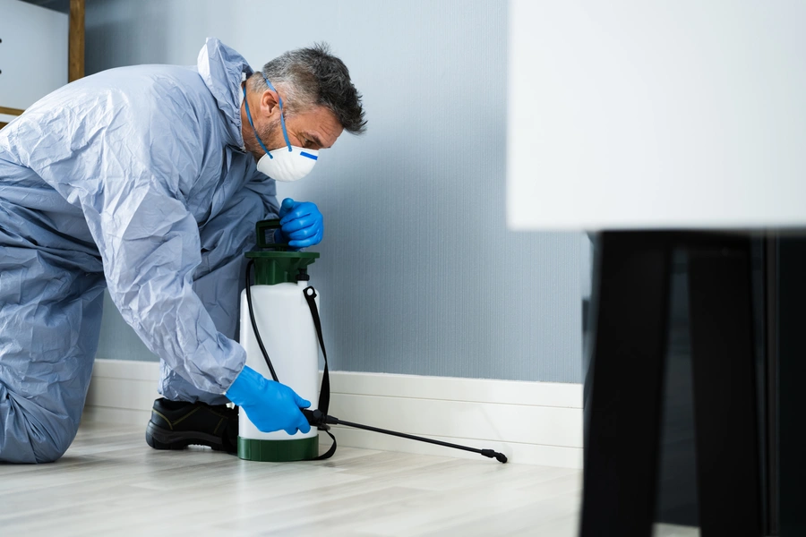 Reliable Pest Inspection Lancaster, OH