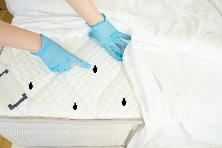 Signs You Need Professional Bed Bug Treatment Lancaster OH