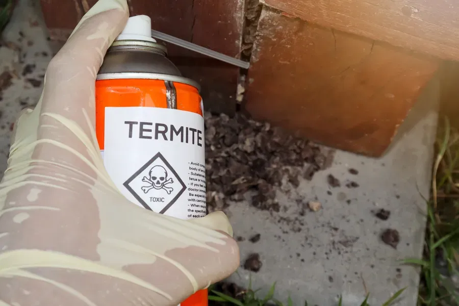 Signs Your Home May Be Infested With Termites Lancaster, OH