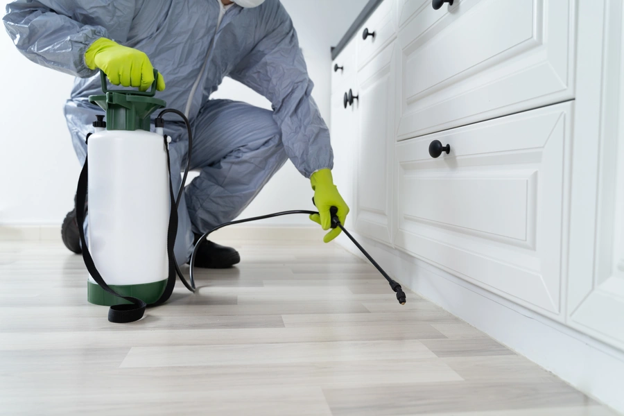 Why Regular Pest Control Is Essential For Homeowners in Lancaster, OH
